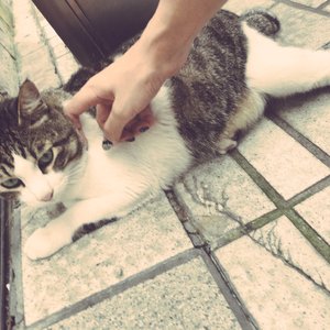 富二代精品短视频在线
