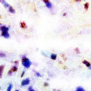 富二代精品短视频在线
