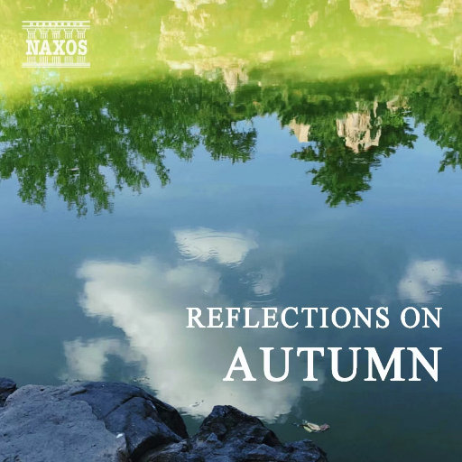 富二代精品短视频在线
